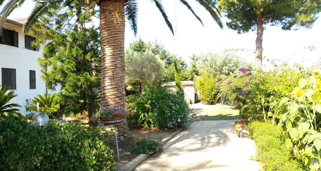 Villa Isabella Zambrone Exterior foto